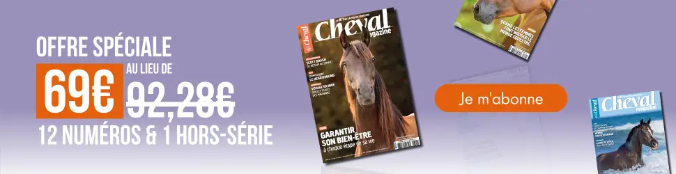 Cheval Mag Cheval 25 – bandeau HP