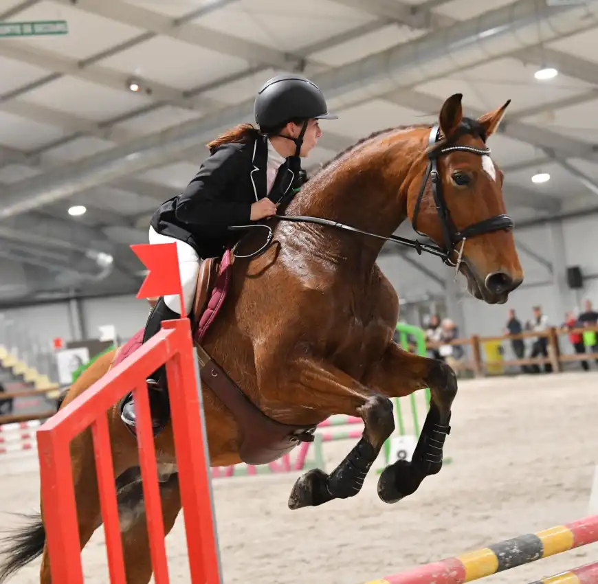 CSO au Salon du Cheval d'Angers
