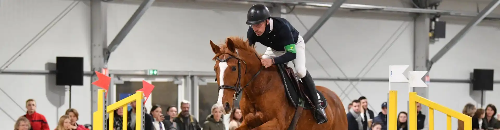 Sport et compétitions au Salon du Cheval d'Angers