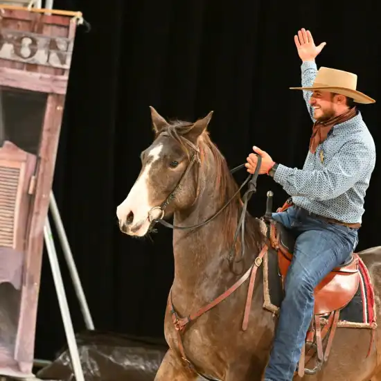 Animations au Salon du Cheval d'Angers