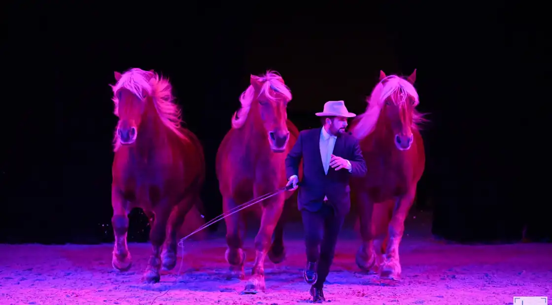 Guillaume MAUVAIS au Salon du Cheval d'Angers 2024