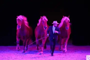 Guillaume MAUVAIS au Salon du Cheval d'Angers 2024