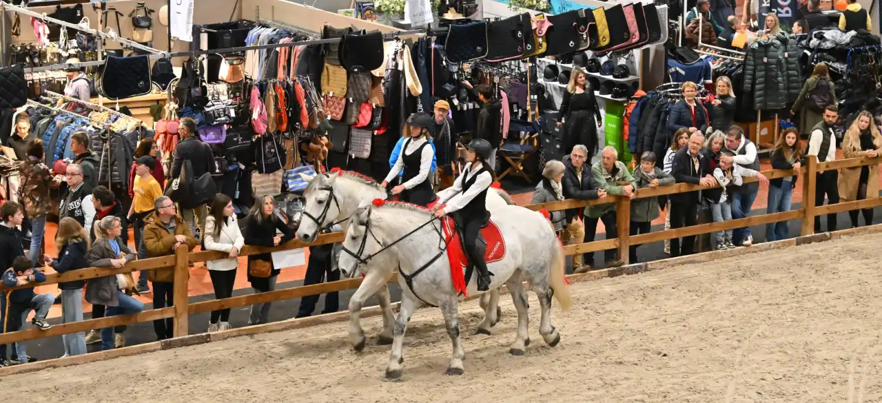 Présentation de races en carrière au Salon du Cheval d'Angers