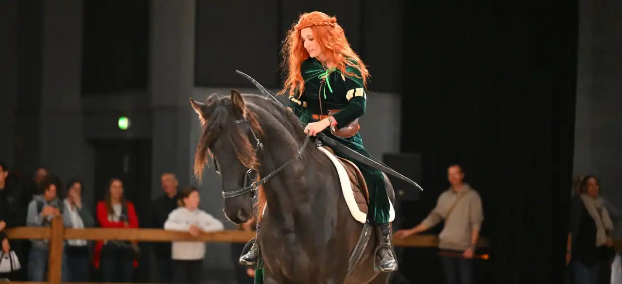 Coplay Rebelle au Salon du Cheval d'Angers