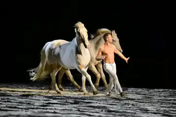 Julien Lecourt, sacré Etoiles Equestres 2024 au Salon du Cheval d'Angers