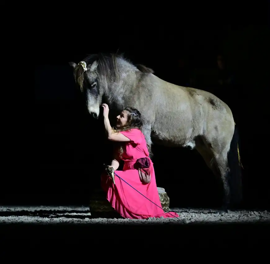 La Soirée spectacle Étoiles Équestres au Salon du Cheval d'Angers