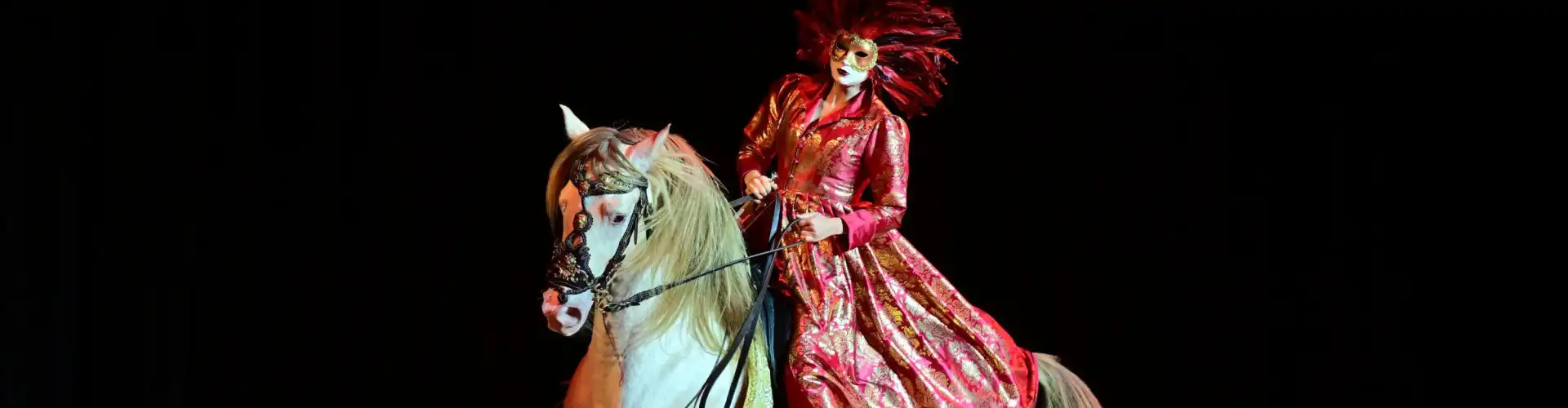 La Soirée Spectacle Étoiles Équestres au Salon du Cheval d'Angers