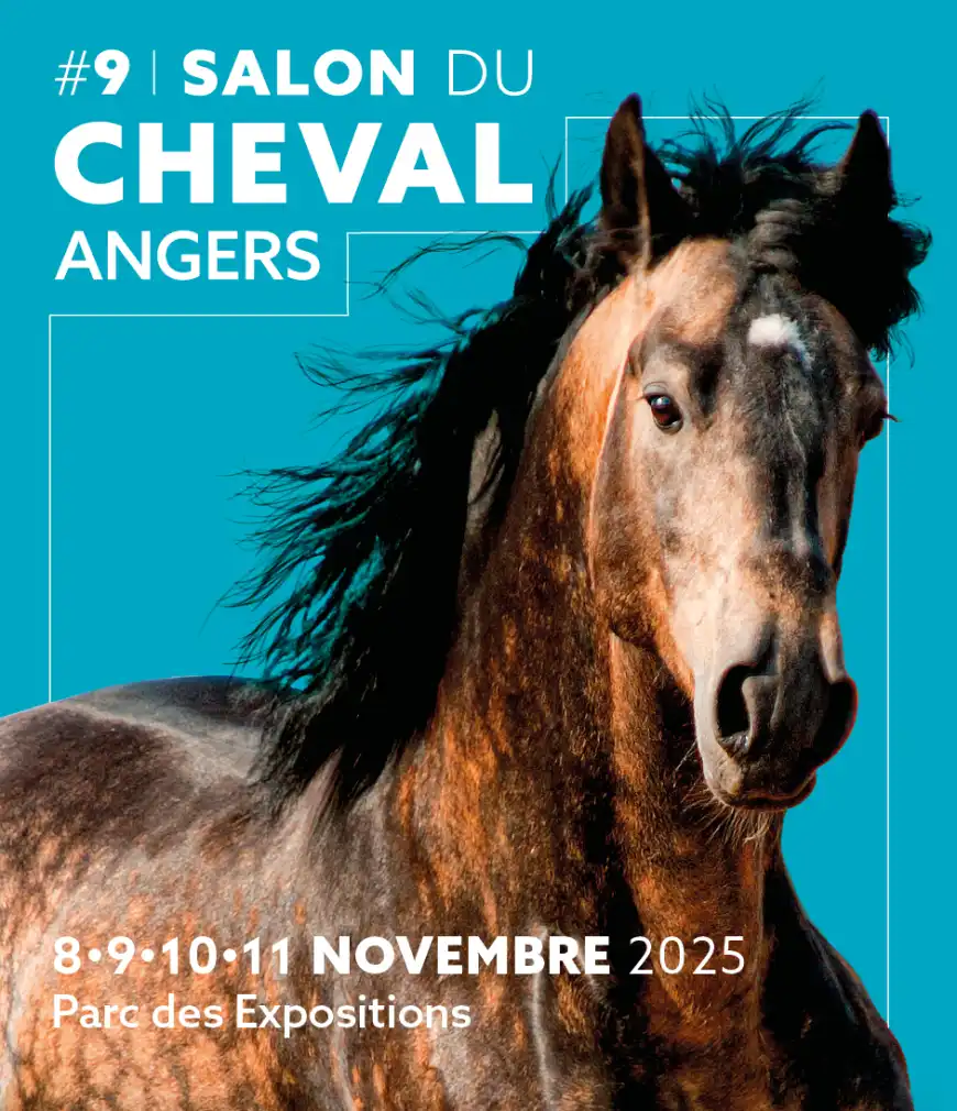 Visuel du Salon du Cheval d'Angers 2025