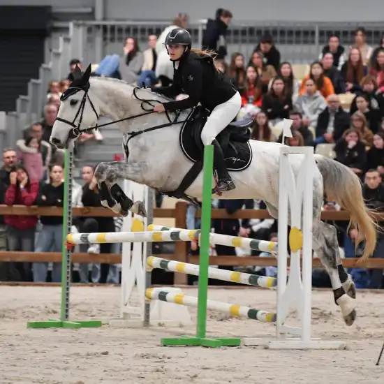 CSO dans la carrière Sport et compétitions au Salon du Cheval d'Angers