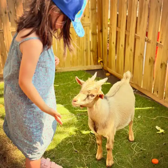 Photos d'une ferme pédagogique pour enfants