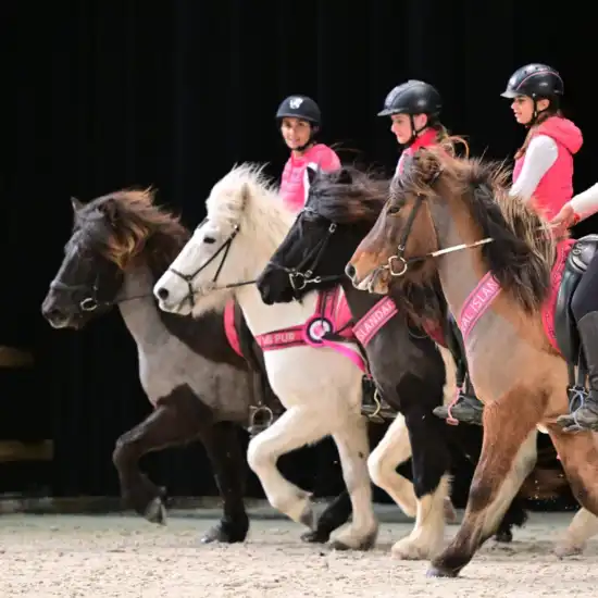 Races de chevaux - Salon du Cheval d'Angers 2025