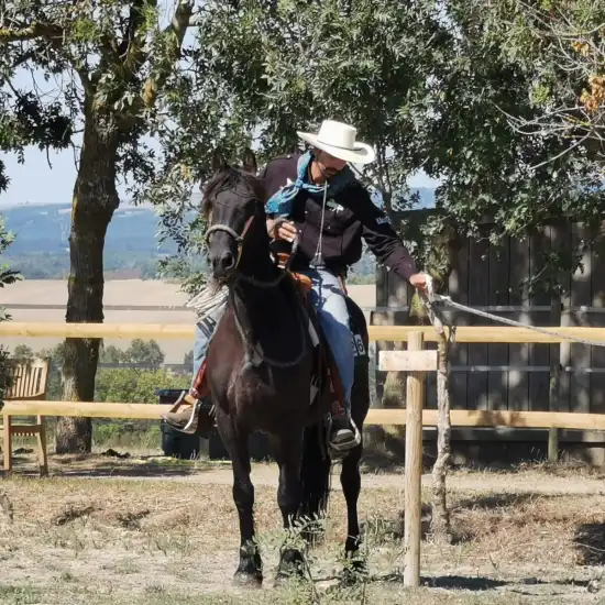 photo-moutain-trail-3-aspect-ratio-1100-1100