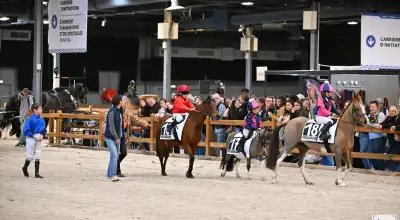 2025-11-11SALONANGERS#COURSES DE PONEYS##Z94_5285 ©LES GARENNES