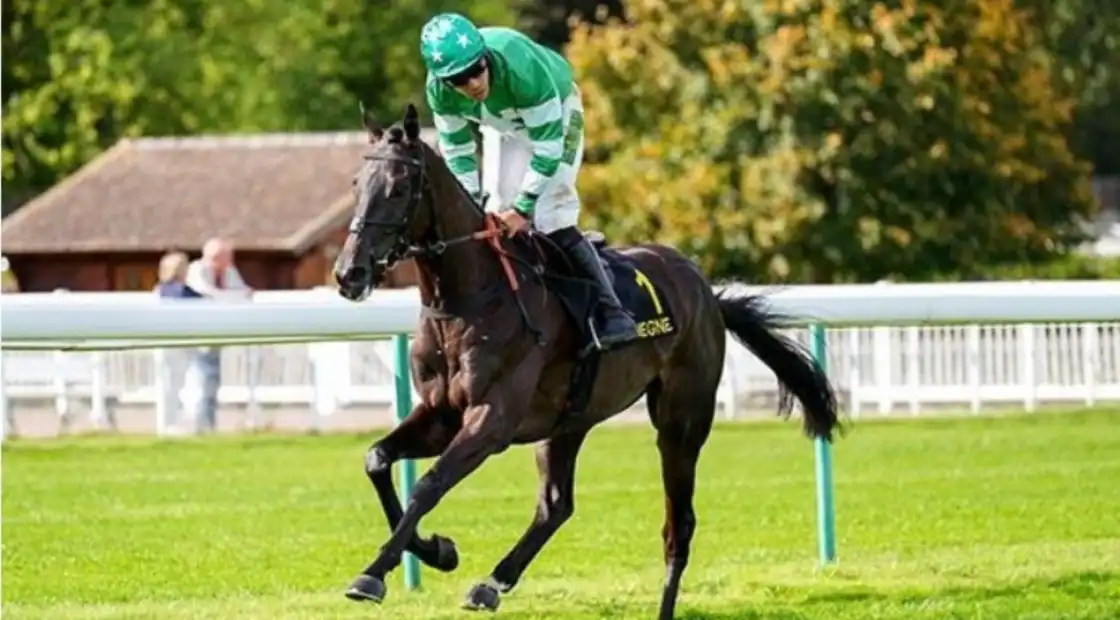 Diffusion des courses : Compiègne C2Salon du Cheval 2025