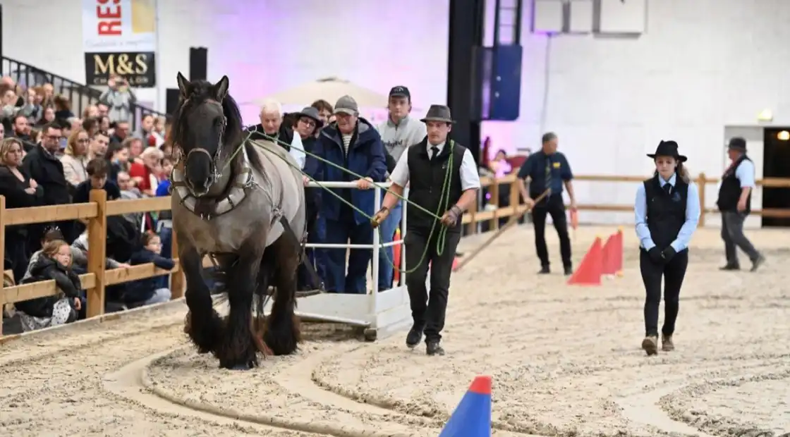 Trophées des races régionalesSalon du Cheval 2025