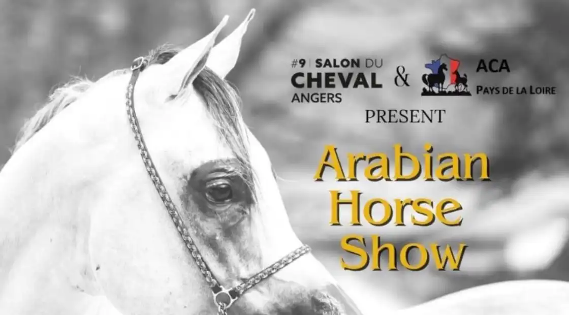 Arabian Horse ShowSalon du Cheval 2025