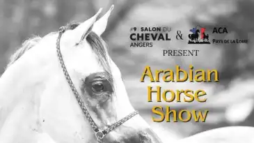 Arabian Horse ShowSalon du Cheval 2025