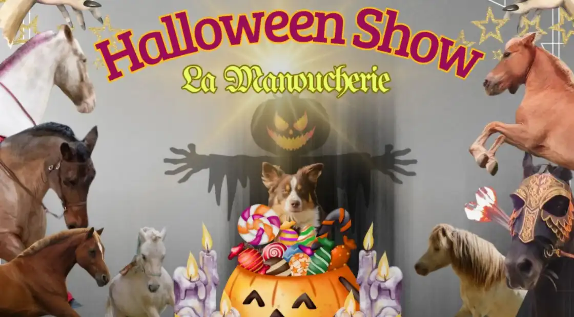 Halloween Show: qui a éteint la lumière ?Salon du Cheval 2025