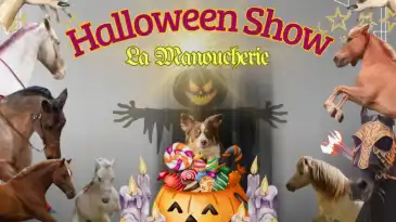 Halloween Show: qui a éteint la lumière ?Salon du Cheval 2025