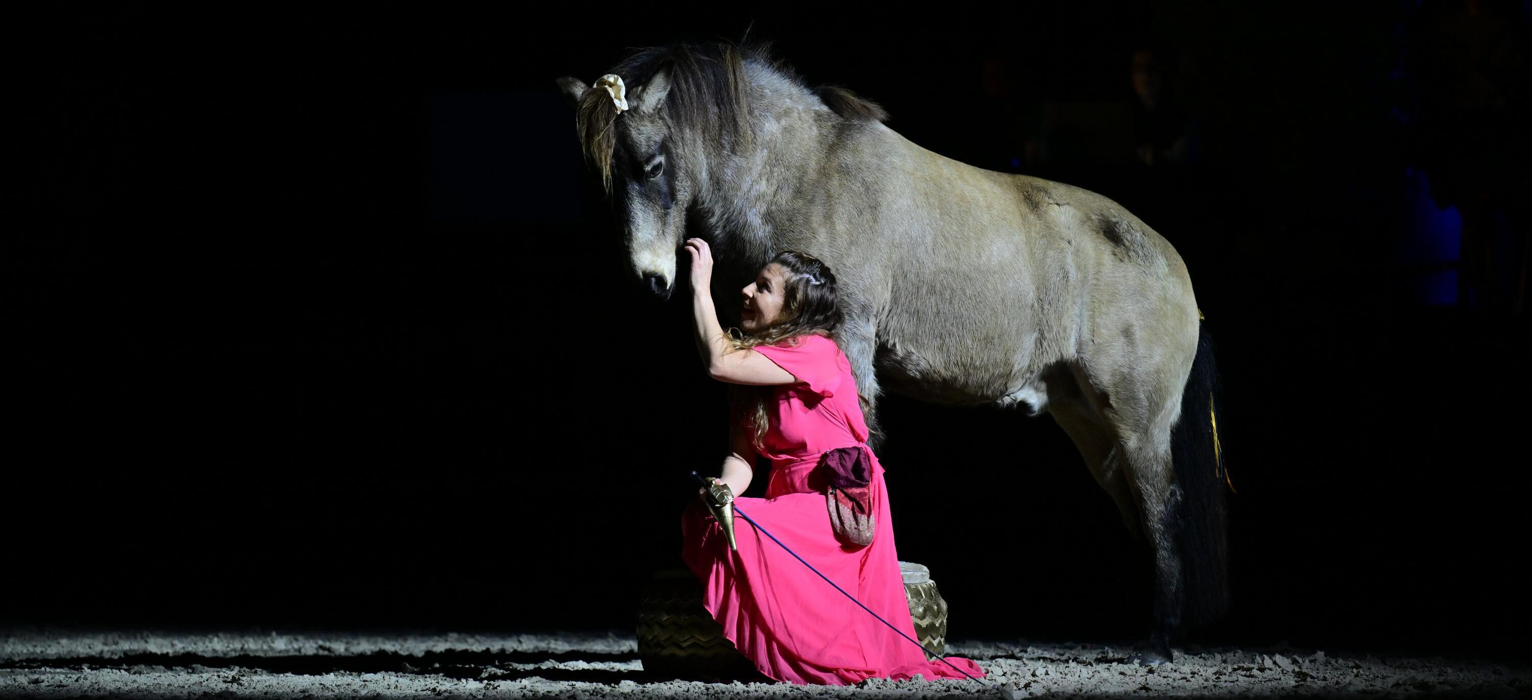 Auriane Le Sellin, concours Etoiles Equestres 2024 au Salon du Cheval d'Angers