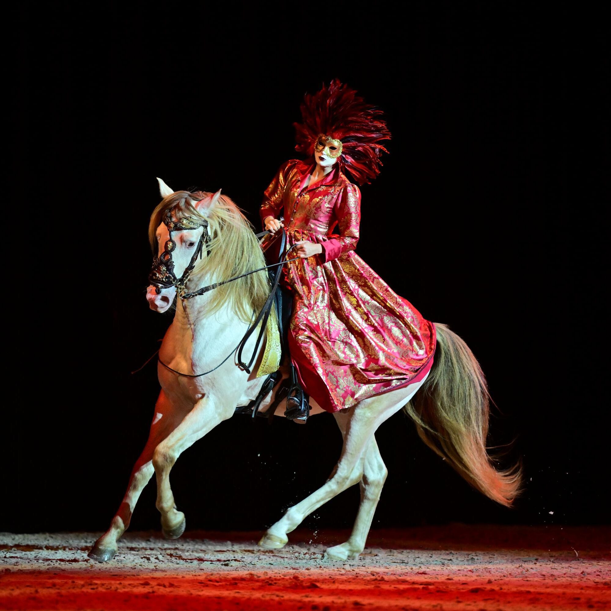 Sopirane, concours Etoiles Equestres 2024 au Salon du Cheval d'Angers