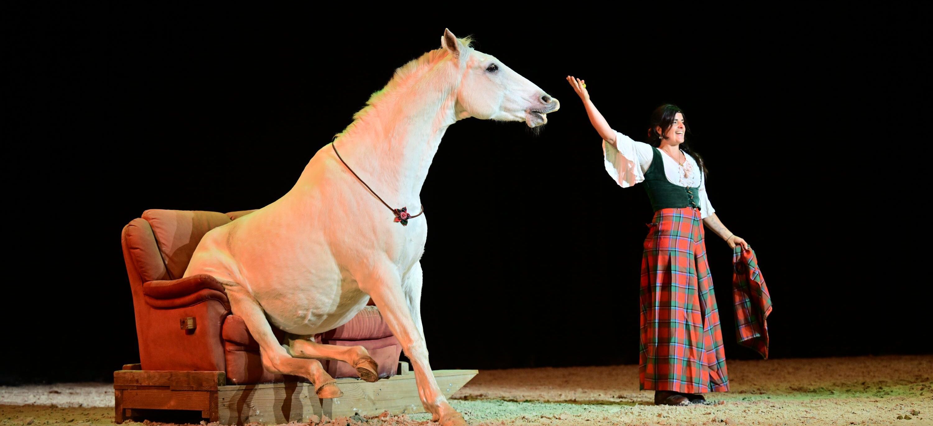 Valse Equine, concours Etoiles Equestres 2024 au Salon du Cheval d'Angers